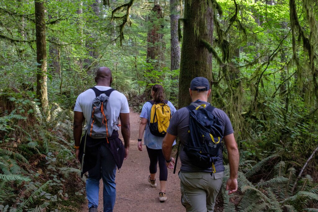 hiking vs backpacking